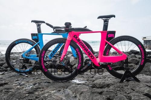 Quintana Roo PRsix Disc  technische daten 